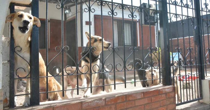 Normalizaron la situacioacuten tras el macabro hallazgo en Santa Rosa