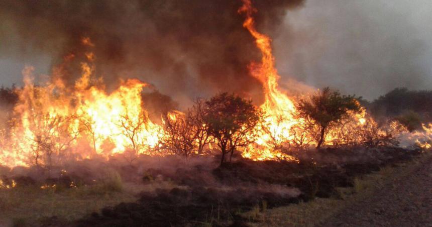 Se quemaron unas 140 mil hectaacutereas en la temporada