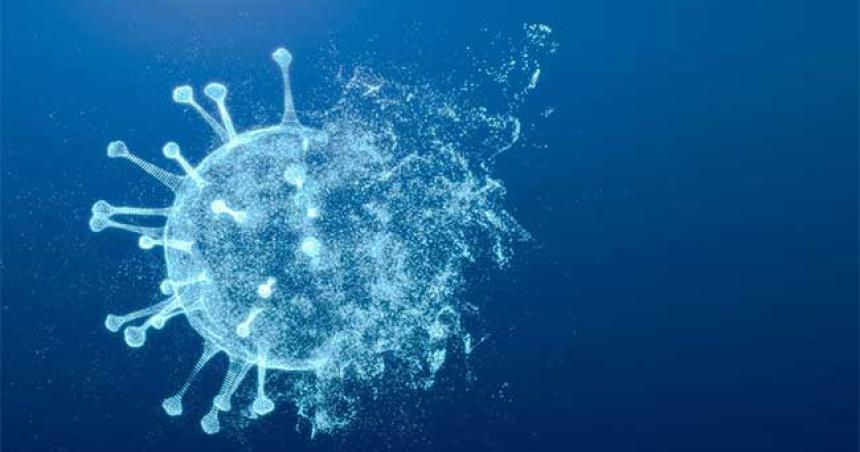 Cuaacutel es el nuevo punto deacutebil del COVID que podriacutea impulsar nuevas vacunas