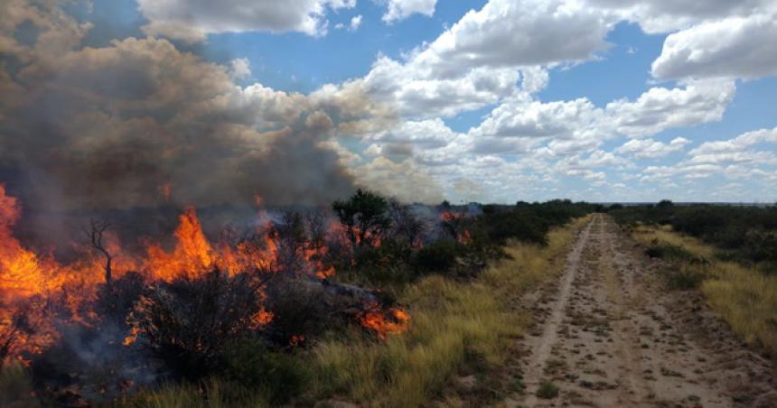 Defensa Civil controloacute dos incendios de campos