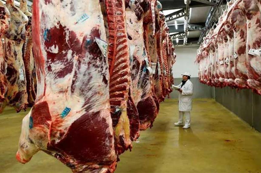 Salud no detectoacute casos de intoxicacioacuten por ingesta de carne en la provincia