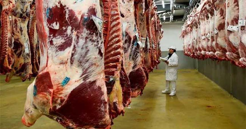 Salud no detectoacute casos de intoxicacioacuten por ingesta de carne en la provincia
