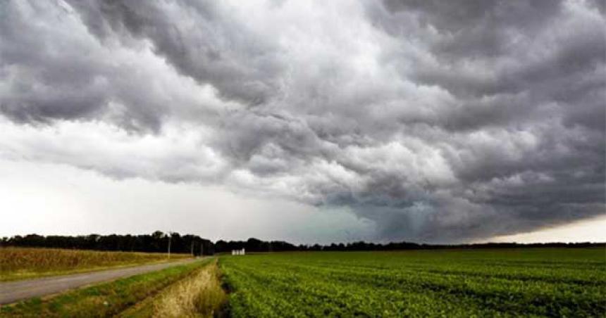 Las lluvias mejoraron las posibilidades de cosecha en las zonas afectadas por la sequiacutea