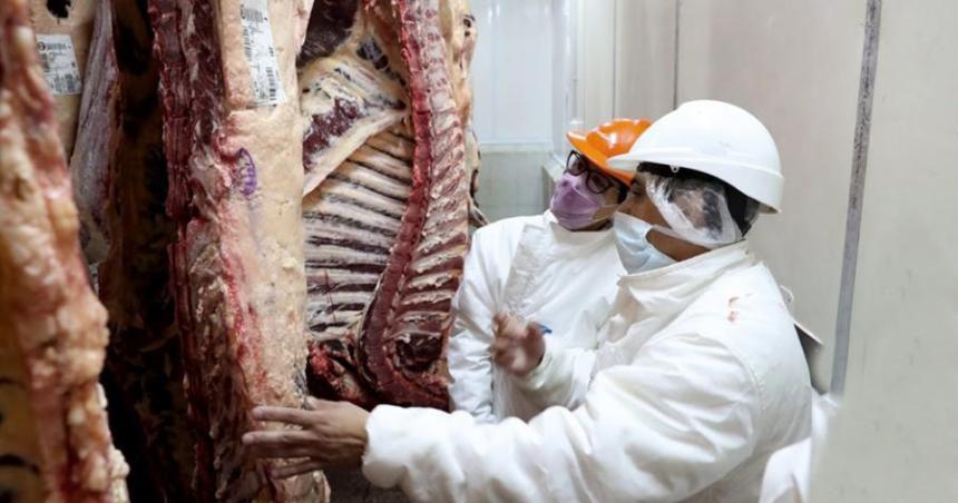 Argelia habilitoacute la exportacioacuten de carne con hueso desde la Argentina