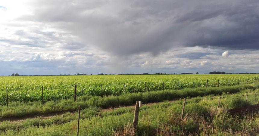 Importantes registros de lluvias en gran parte de la provincia