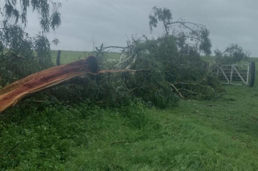 Un temporal causoacute serios dantildeos en la zona rural de Arata