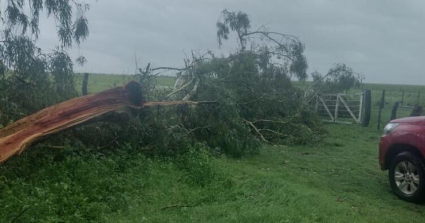 Un temporal causoacute serios dantildeos en la zona rural de Arata