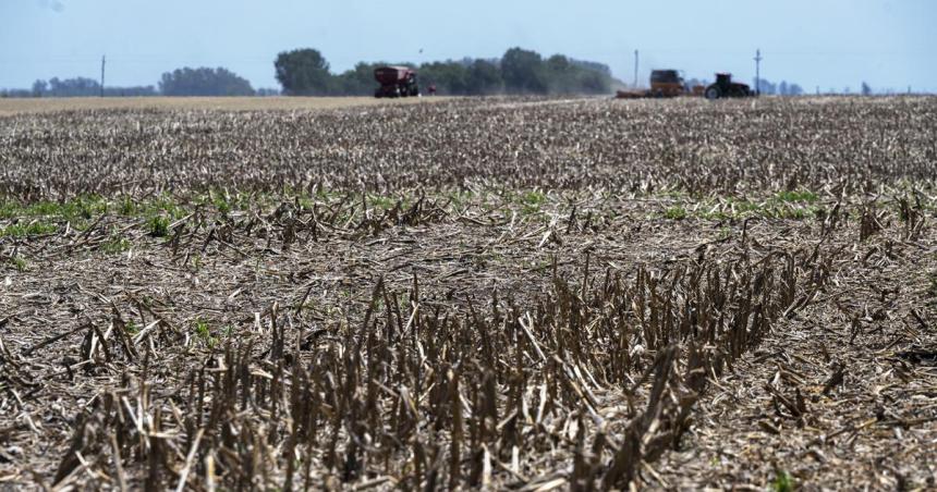 Sequiacutea- el Gobierno nacional invertiraacute 70000 millones para asistir a productores rurales