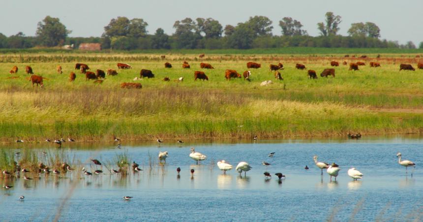 La Pampa tiene humedales y hay que cuidarlos