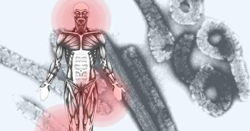 Queacute es el virus de Marburgo- siacutentomas y coacutemo se contagia