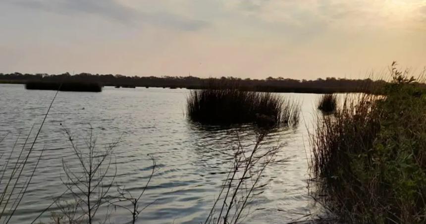 Detectaron el segundo caso de gripe aviar en dos patos silvestres en Coacuterdoba