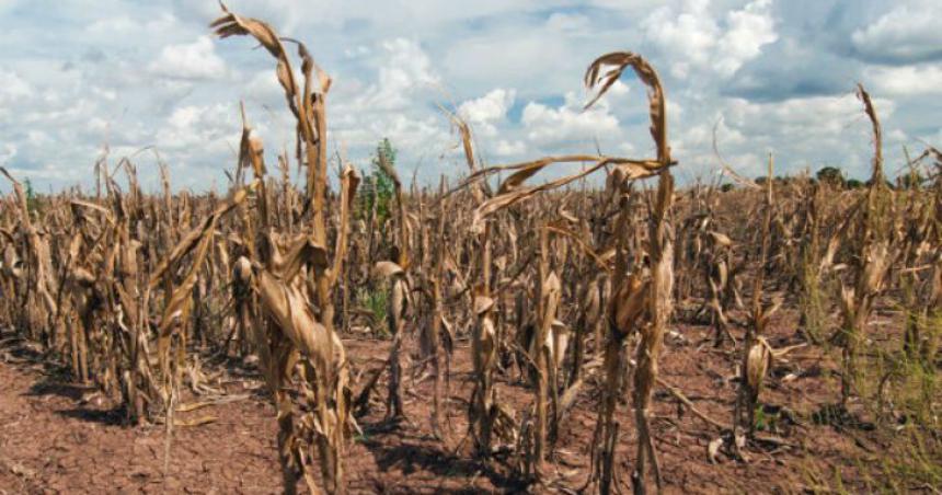 Preocupacioacuten en productores pampeanos por la helada en pleno febrero