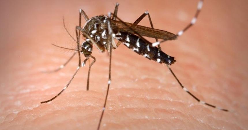 Insisten en advertencias contra el dengue