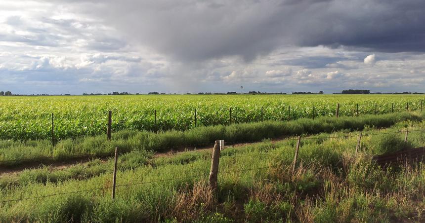 Lluvias dispares en la provincia- 55 miliacutemetros en Arauz