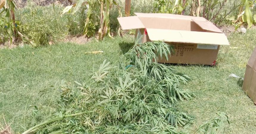 Asaltoacute la despensa donde era cliente- lo detuvieron en un asentamiento