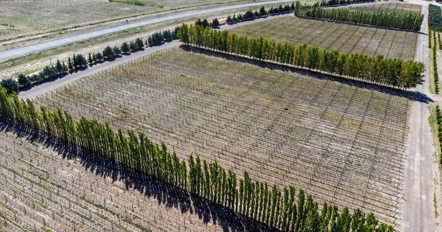 Casa de Piedra- la Provincia apuesta a desarrollar 1500 hectaacutereas bajo riego