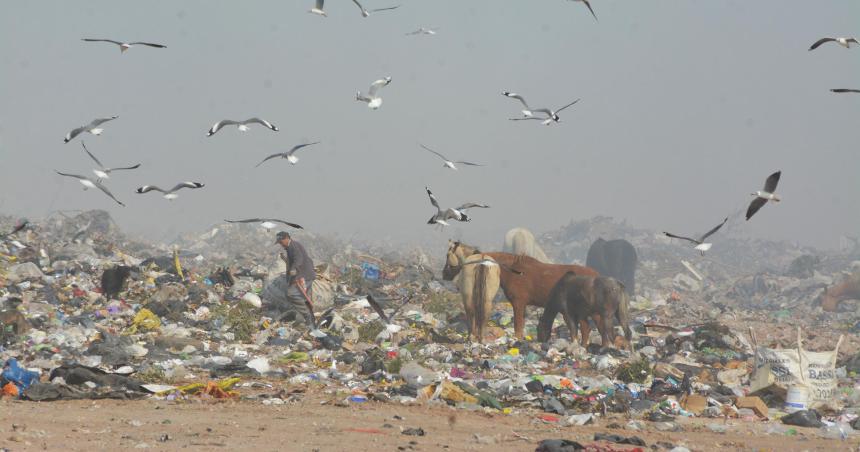 La oposicioacuten denuncia una degradacioacuten en el tratamiento de la basura en Santa Rosa