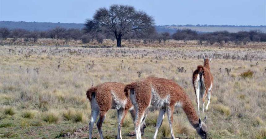 La Provincia destacoacute las tareas ambientales que hizo