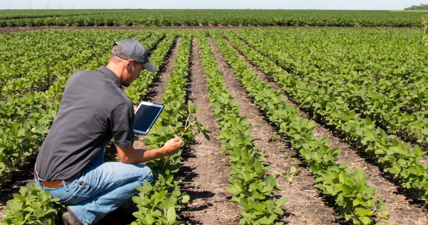 La noticia tecnoloacutegica que alienta a los productores pampeanos