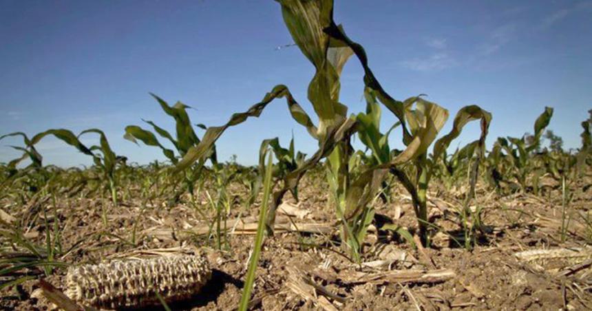 Santa Fe Entre Riacuteos y el norte de Buenos Aires son las zonas maacutes golpeadas por la sequiacutea