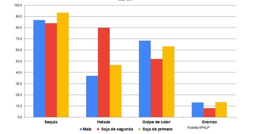 APALP- grave diagnoacutestico del estado de cultivos en La Pampa 