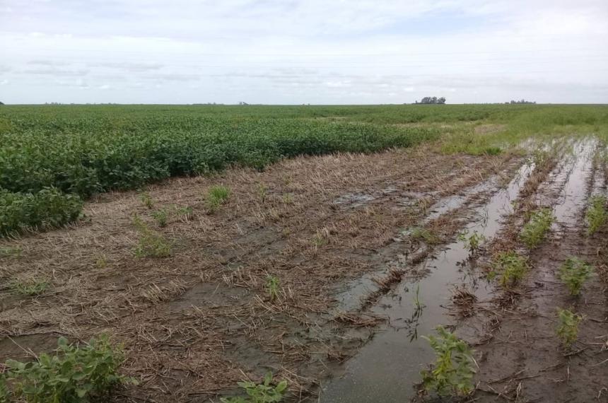  Hubo lluvias en el centro este y el sur de La Pampa