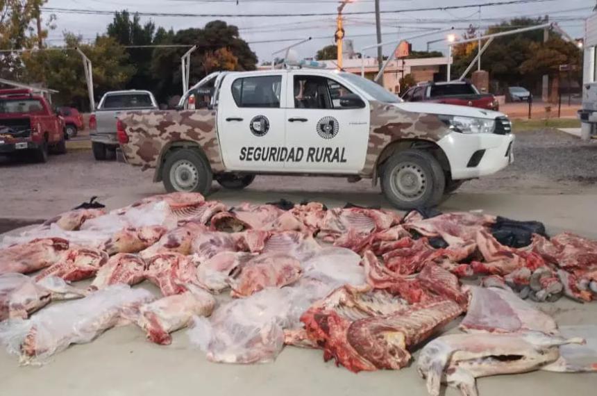 Puente Dique- incautaron 1600 kilos de carne con destino a Catriel