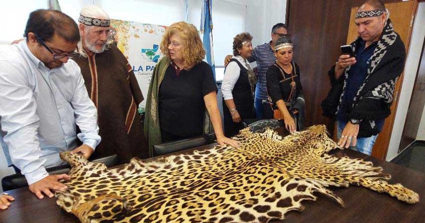 Entregaron una piel de yaguareteacute al Museo Natural de la Provincia
