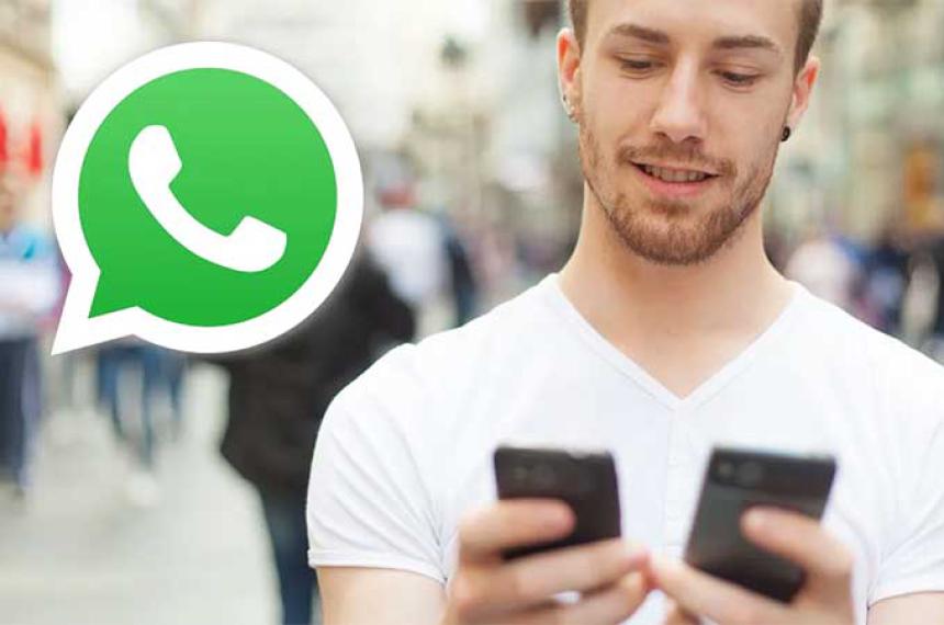 WhatsApp te permitiraacute encontrar contactos y grupos en comuacuten con esta nueva caracteriacutestica