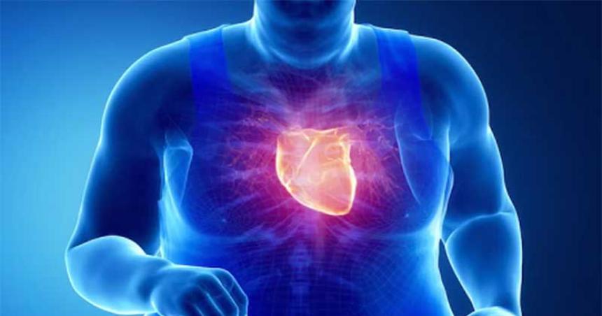 La obesidad dificulta el diagnoacutestico de las enfermedades cardiovasculares