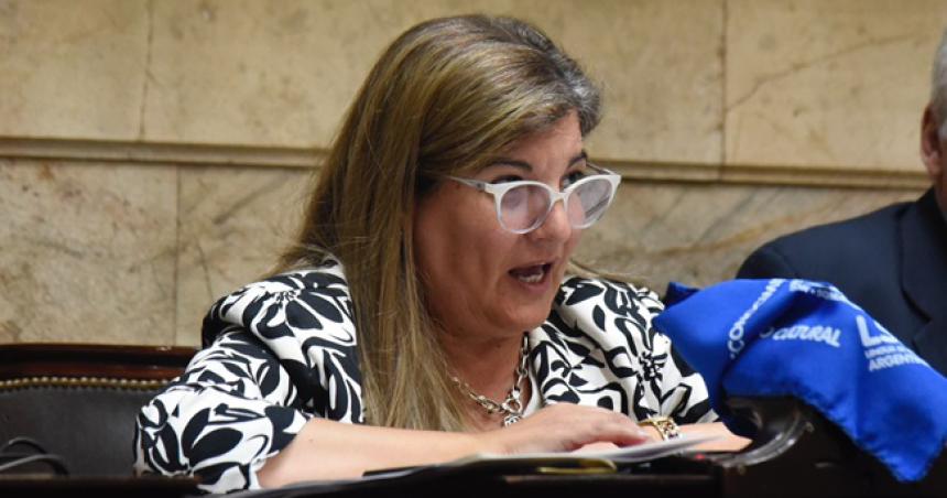 Colli pidioacute que la titular de ANSES deacute explicaciones ante Diputados