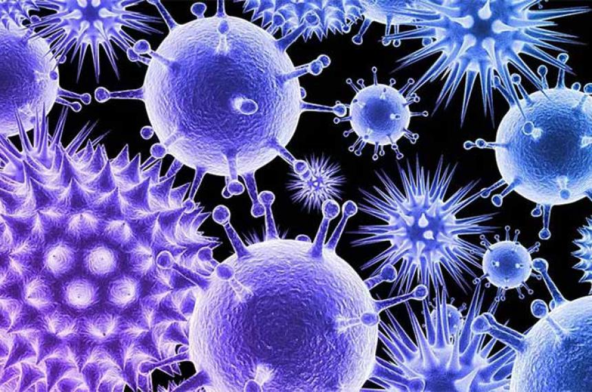 Expertos de Harvard crearon una superbacteria inmune a todas las infecciones virales de la naturaleza