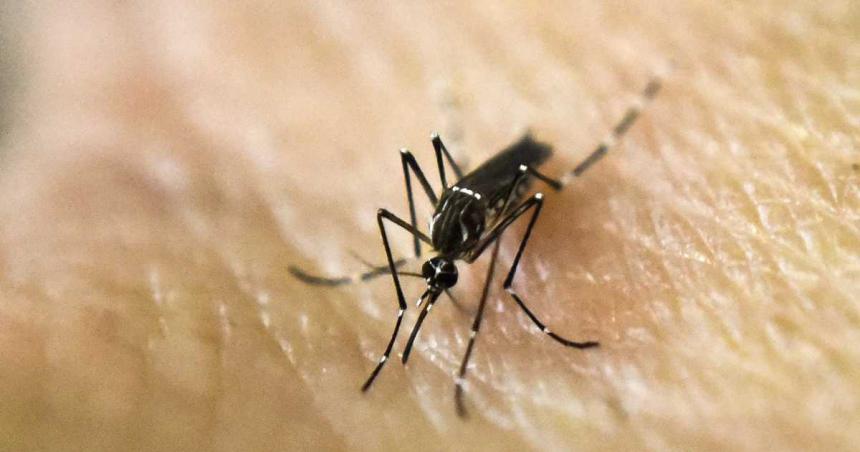 Confirmaron dos casos de dengue importados en La Pampa