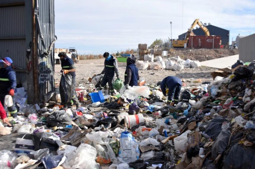 Las acciones ambientales van maacutes allaacute que reciclar