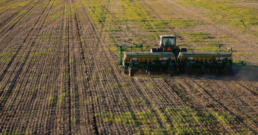  Pensar la cadena forrajera otontildeoinvierno 2023