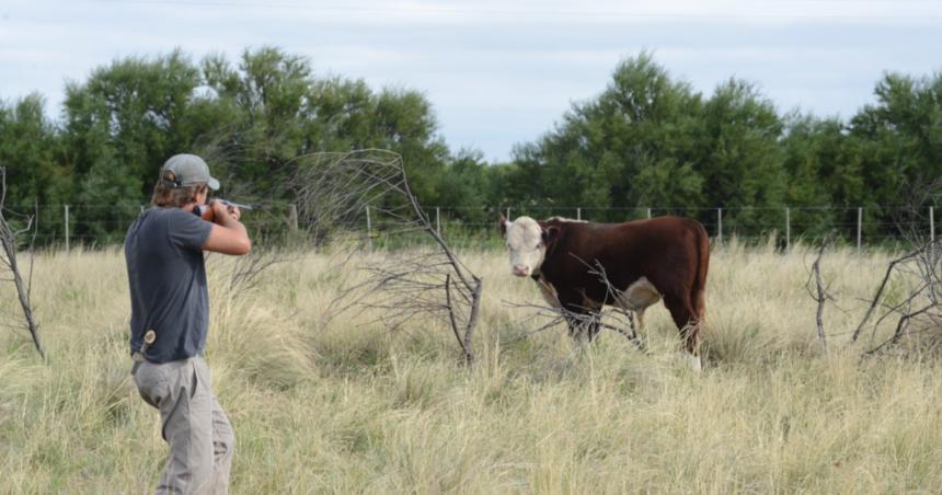 Crearaacuten cuatro fiscaliacuteas especiales dirigidas a la seguridad rural