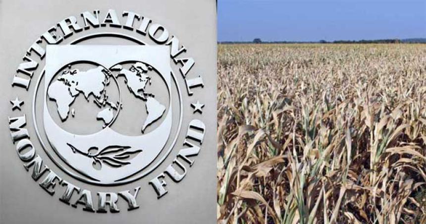 El FMI estima que la economiacutea argentina creceraacute 02-en-porciento- por impacto de la sequiacutea