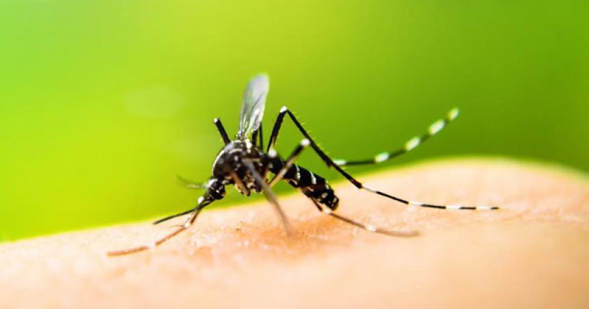 Dengue en Argentina- ya son 32 los muertos y los contagios siguen en aumento