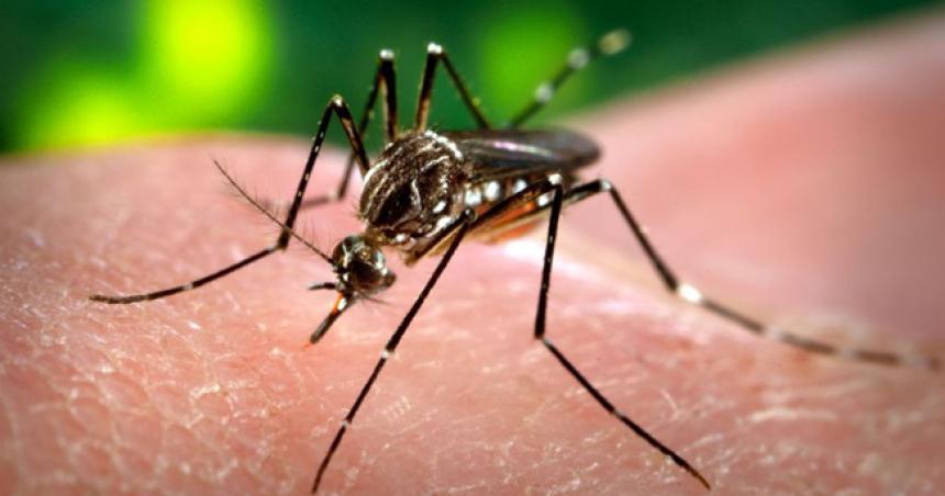 Detectan un posible caso de dengue en la zona Norte de Santa Rosa