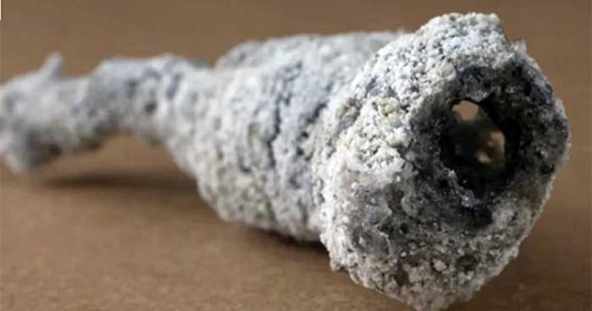 Hallazgo cientiacutefico- un material desconocido se formoacute tras el impacto de un rayo contra un aacuterbol