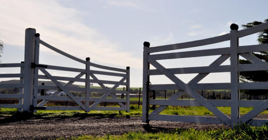 Forzaron una tranquera y robaron 38 vacunos de un campo alquilado