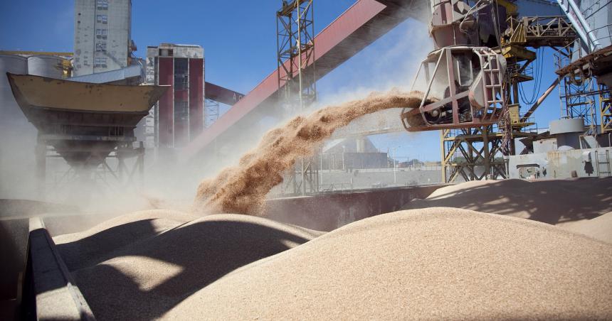 Doacutelar soja- exportadores liquidaron US1255 millones