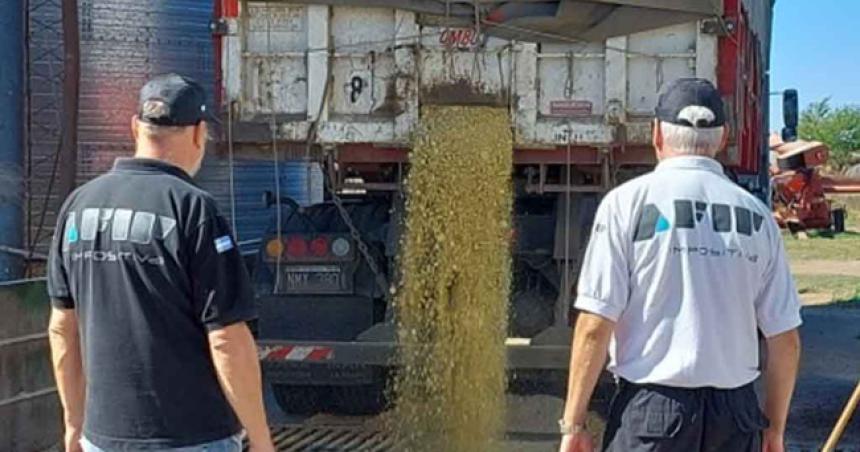 Secuestran 24 toneladas de soja en Catriloacute