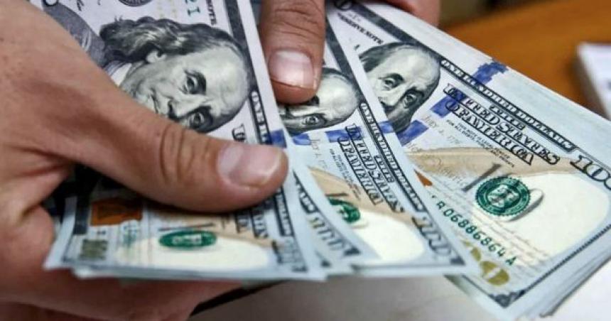 El Gobierno logroacute frenar al doacutelar blue tras dos semanas de fuerte suba