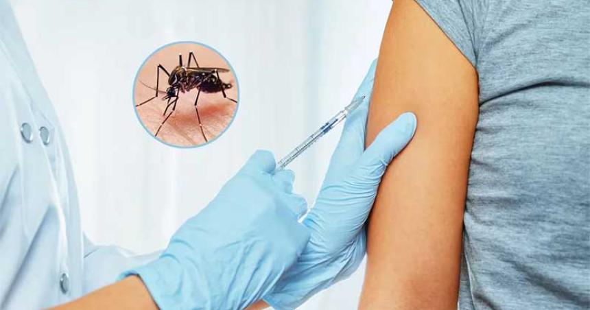 La ANMAT aproboacute la vacuna contra el dengue- cuaacutendo llegaraacute al paiacutes y coacutemo seraacute su aplicacioacuten