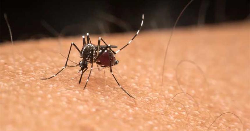 iquestEl dengue puede dejar secuelas- todo lo que hay que saber