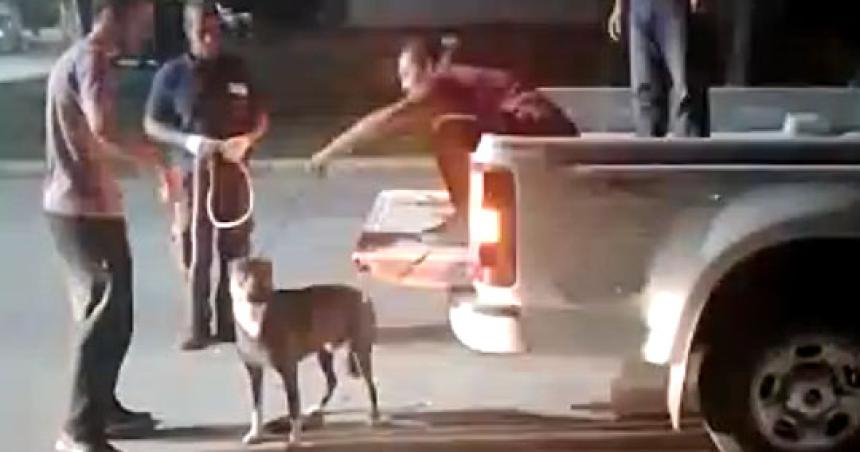 Otro ataque de un perro en Santa Rosa- ahora a una mujer
