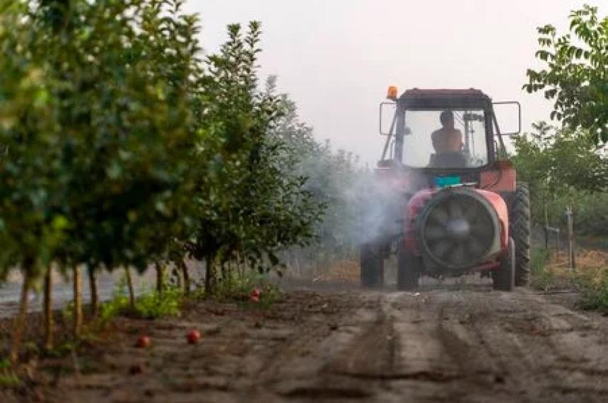 Cuidado con la fruta que comeacutes