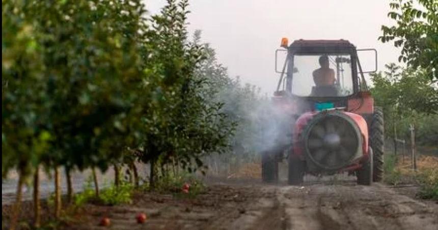 Cuidado con la fruta que comeacutes