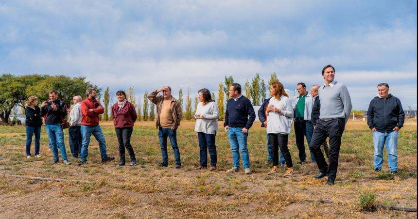 Produccioacuten de vinos- nacen nuevos proyectos en la ruta 4